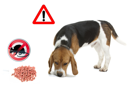 Mon chien mangé des raticides: que dois-je faire ? - VETDOM